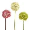 World Market Large Faux Spring Allium Stem