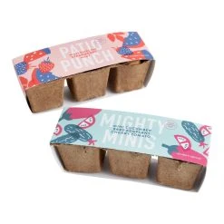 World Market Modern Sprout Seed Trio Grow Kit