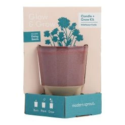 World Market Modern Sprout Daisy Glow and Grow Ceramic Candle & Grow Kit