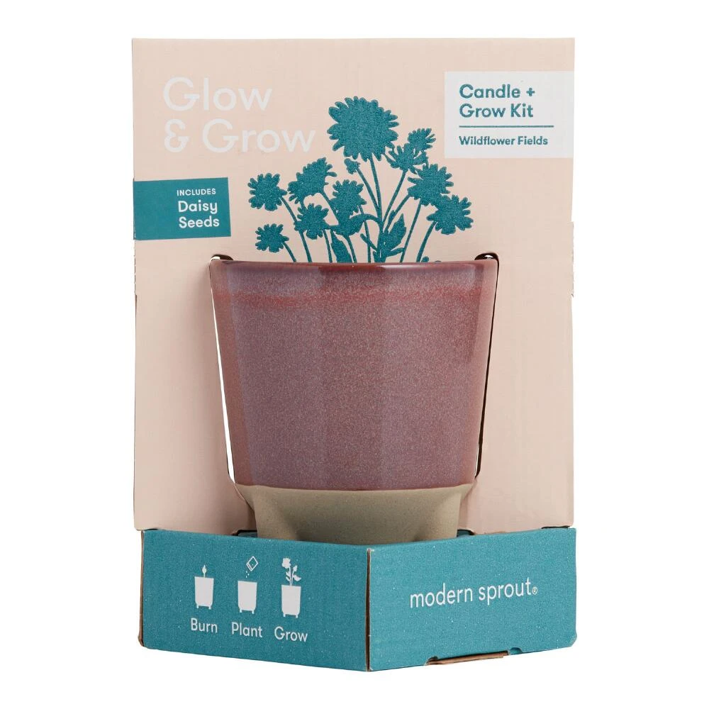 World Market Modern Sprout Daisy Glow and Grow Ceramic Candle & Grow Kit