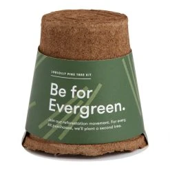 World Market Modern Sprout Loblolly Pine One For One Tree Kit