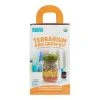 World Market Back to the Roots Organic Terrarium Kids Grow Kit