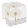World Market Square Resin Dandelion Paperweight