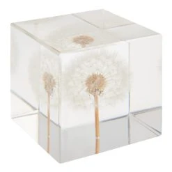 World Market Square Resin Dandelion Paperweight