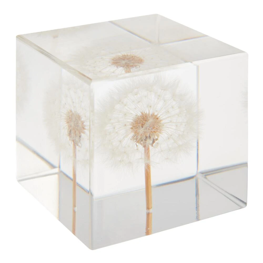 World Market Square Resin Dandelion Paperweight