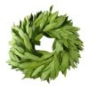 World Market Fresh Bay Leaf Wreath