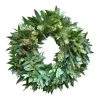World Market Fresh Bay Leaf, Eucalyptus and Rosemary Wreath
