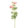 World Market Pink Faux Ranunculus Spray