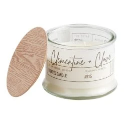 World Market Frosted Glass Clementine and Clove 2 Wick Scented Candle