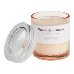 World Market Spring Spa Mandarin and Mango Scented Candle