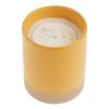 World Market Smoky Topaz Two Tone Ceramic Scented Candle