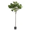 World Market Faux Fiddle Leaf Fig Tree 72 Inch