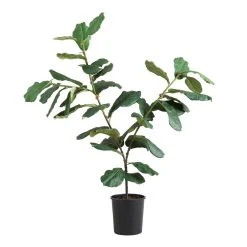 World Market Faux Fiddle Leaf Fig Tree 57 Inch