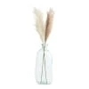 World Market Faux Pampas Grass Stem 68 Inch