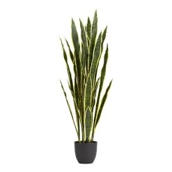 World Market Faux Snake Plant