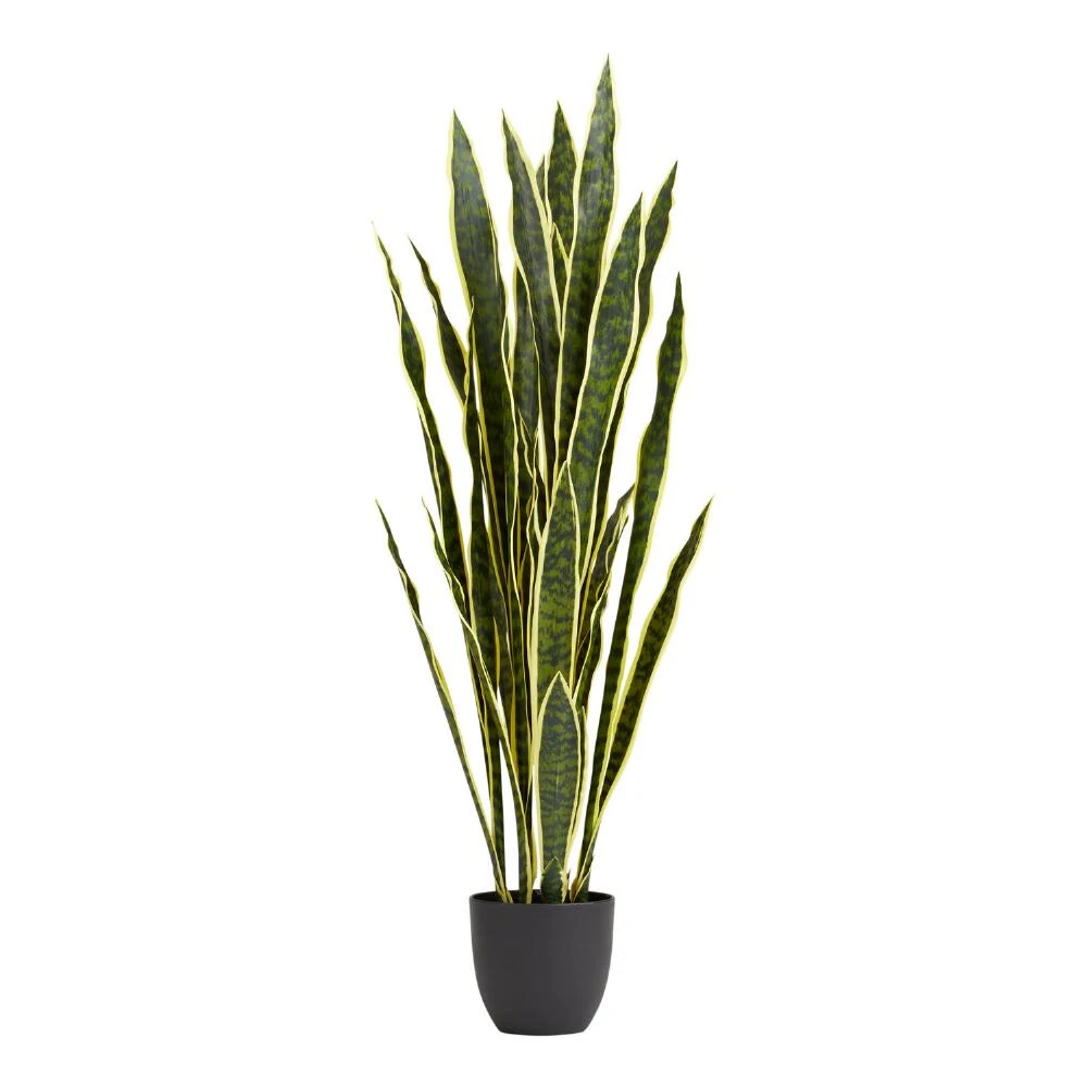 World Market Faux Snake Plant
