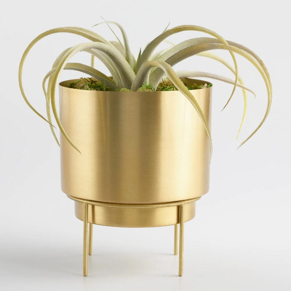 World Market Brushed Gold Planter with Stand - Image 3
